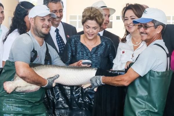 A presidente Dilma durante inauguração da sede da Embrapa Pesca e Aquicultura, em Palmas (TO) / Roberto Stuckert/PR